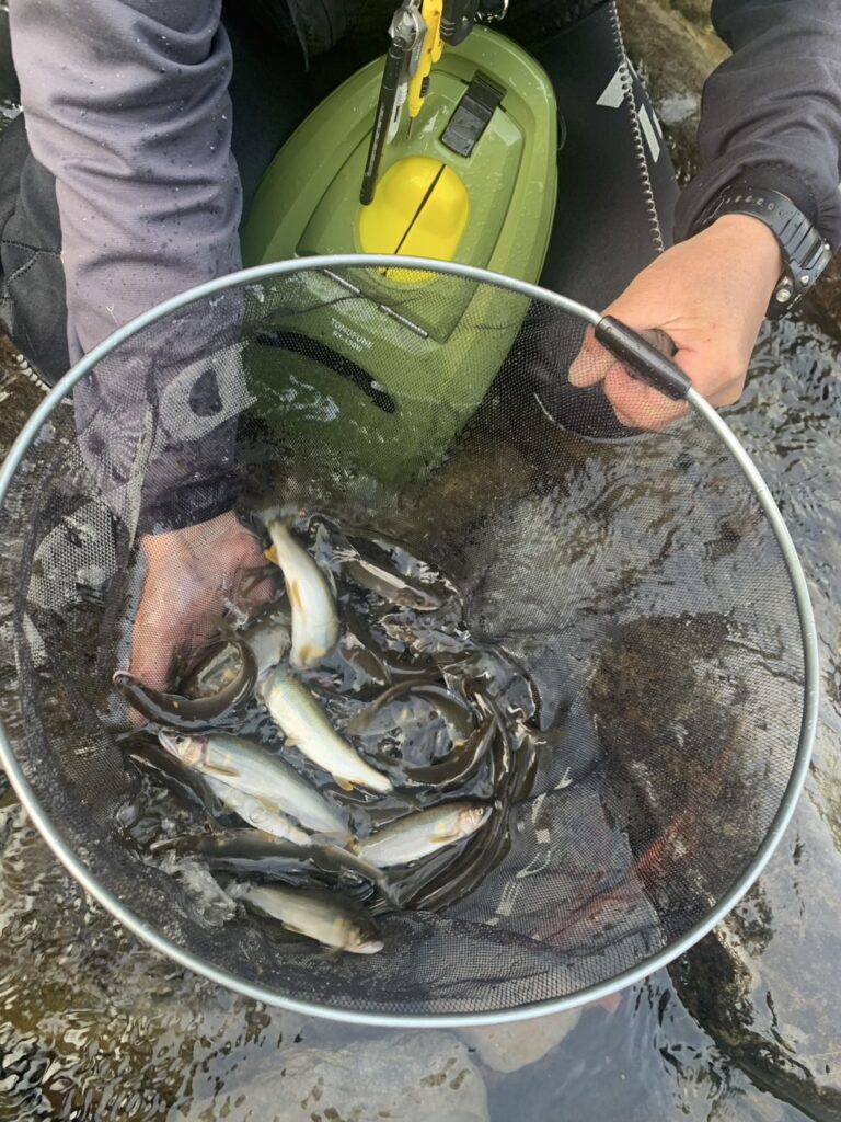 今シーズン初釣行釣果
